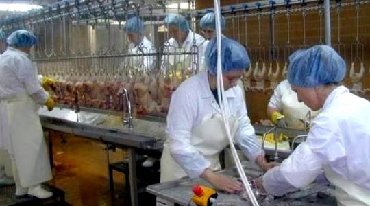 Geneza ponovo pokreće pazinski Puris